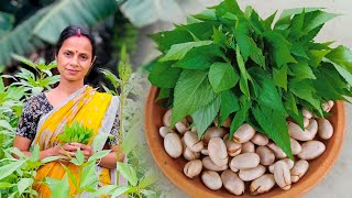 কাঁঠালের বিচি দিয়ে পাট শাকের এই রেসিপি মুখে লেগে থাকবে|pat shak recipe bengali|village food