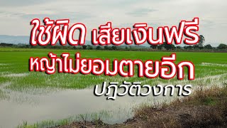 #ยาฆ่าหญ้ากระดูกไก่,หญ้าลิเก,หญ้าพุ่มพวง,หญ้าปล้องหิน,กำจัดหญ้านาข้าวหญ้าข้าวนก,หญ้าแดง,หญ้าสลาง