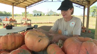 From grief to a celebration of life; How founder of Onward Acres honors her mother's memory