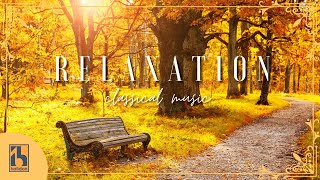Classical Music for Relaxation | Bach, Mozart, Vivaldi...