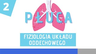 Fizjologia układu oddechowego cz. 2