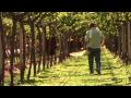 THE WAYS OF WINE TRAILER 2010