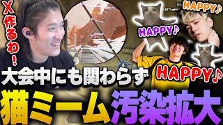 【ALGS YEAR4】猫ミーム汚染が止まらない？大会中でも緊張感があまり無いRIDDLE【APEX/RIDDLE ORDER/ゆきお/saku/メルトステラ】