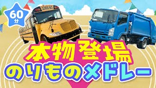 【メドレー】本物登場！のりものメドレー｜赤ちゃん泣き止む｜赤ちゃんが喜ぶうた｜童謡｜こどものうた｜てあそび｜ダンス｜振り付き｜知育アニメ｜Finger play |