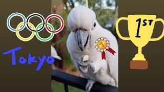 Cockatoo nut cracking WORLD RECORD!!!⏱️🕊️🥜🥵🏋️😜😆🤣