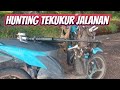 Lily Hunter sedang live Hunting tekukur di jalanan