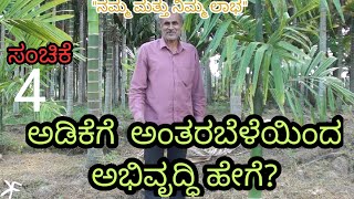 ಅಡಿಕೆಗೆ  ಅಂತರಬೆಳೆಯಿಂದ  ಅಭಿವೃದ್ಧಿ ಹೇಗೆ? || ಸಂಚಿಕೆ 4||  Intercropping in arecanut || Episode 4 ||