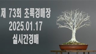 제73회 초록분재경매장 25.01.17.(금) 실시간 경매