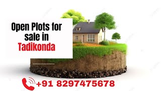 Tadikonda Open Plots | CRDA Approved | Open Plots in Tadikonda for Sale | Call +91 8297475678