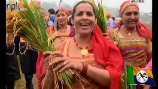 ಪುತ್ತರಿ ನಮ್ಮೆರ ನಲ್ಲಾಮೆ  - Happy Puthari to all Friends