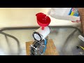 hydrogen generator. hho how to make 49 plates