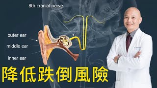 暈船、上下樓梯暈眩的解方💡耳石器官與暈眩的關係｜如何調整眼球震顫來緩解暈眩❓