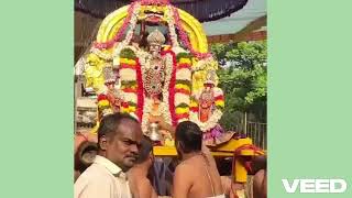 மேற்கு மாம்பலம் சென்ன ஸ்ரீ ஆதி கேசவ பெருமாள் திருக்கோயில் மாசி பிரம்மோற்சவம்  துவஜ ஆரோகணம்