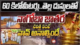 Special Report On Adilabad Nagoba Jatara | Nagoba Temple Speciality | Tribal Festival Nagoba Jatara