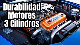 Opinión Motores Tricilíndricos