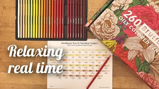 🌸 Swatching ALL 260 Brutfuner Flower Box B Colored Pencils! Relaxing Gradient Chart 🌈