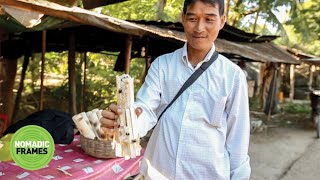 Taste of Cambodia: Kralan, Khmer Sticky Rice Cake (Cambodia)