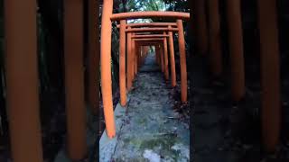 森の神様が現れてくれました✨森の中の稲荷神社⛩️Shrine in the forest⛰️Nara Japan Travel Movie パワースポット巡り 奈良県 川上村 笠松稲荷神社⛩️