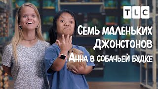 Анна в собачьей будке | 7 маленьких Джонстонов | TLC