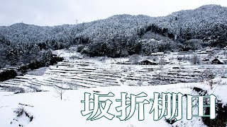 坂折棚田《雪景色》 2025年2月6日