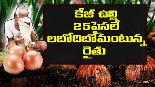 ఓరిదేవుడో.. కేజీ ఉల్లి 25 పైసలే.. లబోదిబోమంటున్న రైతు @abhitvtelugu