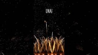 ♪♪ HAPPY BIRTHDAY UNAI  ♪♪