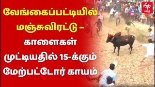 வேங்கைப்பட்டியில் மஞ்சுவிரட்டு – காளைகள் முட்டியதில் 15-க்கும் மேற்பட்டோர் காயம்