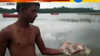 Vadodara : Old currency found from River at Malsar,Shinor : ZEE 24 KALAK