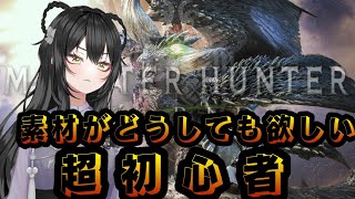 【モンスターハンターワールド/MHW:IB】救済装備脱出目指す超初心者ハンター！【参加型】