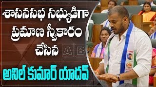 YCP Anil Kumar Yadav Takes Oath As MLA In AP Assembly | AP Assembly Session 2019 | ABN Telugu