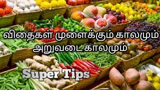 விதைகள் முளைக்கும் காலமும் அறுவடை காலமும்