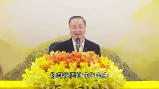 卢台长【第23集】【四正勤是空性的智慧】 卢军宏台长 白话佛法开示 2020年3月25日（更新文件）