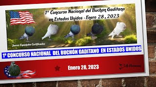 Buchón Gaditano USA 2023