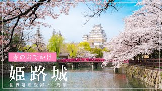 【世界遺産登録30周年】姫路城、桜散策！【春の絶景】