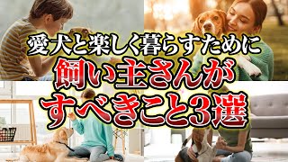 愛犬と楽しく暮らすために飼い主さんがすべきこと3選