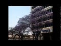 Zimbabwe Gospel -Brian Sibalo-Ndirimufambi