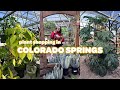 Plant Shopping in Colorado Springs ❄️🪴