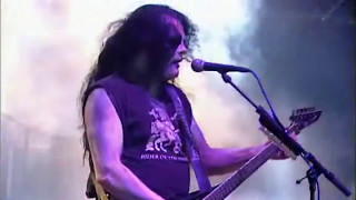 Immortal   Live in Graspop 2008