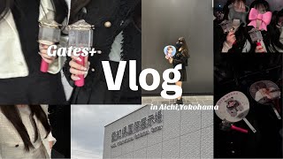 【Vlog】美 少年 アリーナツアー2024 Gates+ in 愛知、横浜 🎪🐰🫧