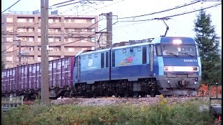 ﾌﾞﾙｰｻﾝﾀﾞｰEH200-23牽引高速貨物6082ﾚ　焼島→隅田川