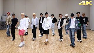 SEVENTEEN - Darl+ing Dance Practice Mirrored [4K]