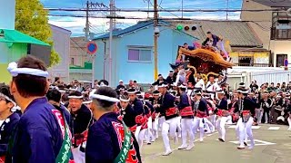 【 今年の 八田壮  宮入 の後は 神出 で 東西8町曳きが行われた😝✨💫】堺市 八田荘地区 宮入後 神出 曳行 〔 八田荘だんじり祭り 〕堀上 東堀上 八田北 八田南 毛穴 家原寺 平岡 八田寺