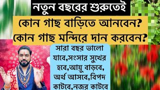 নতুন বছর কোন গাছ বাড়িতে আনবেন আর কোন গাছ মন্দিরে দান করবেন?এতে কি লাভ হয়?Remedy for new year 2025