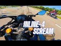 ZX25R Straight Line Havoc ft. Z900, SRK600, 752s | 4K