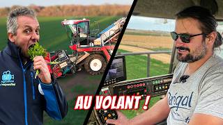 Je récolte du persil avec une machine incroyable de chez Darégal ! 🚜