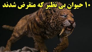 ۱۰ حیوان بی نظیر که منقرض شدند