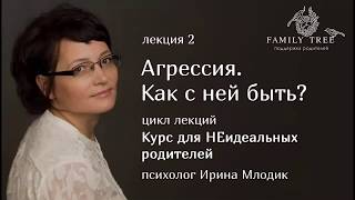 «Агрессия. Как с ней быть?» | Фрагмент вебинара Ирины Млодик | Курс для НЕидеальных родителей