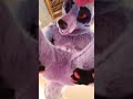 hypno doggo sits on your pov fursuit butts shorts