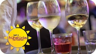 Teurer Wein vs. billiger Wein: Der Preisschmecker Test | SAT.1 Frühstücksfernsehen | TV