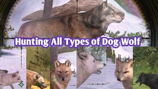 The Thrilling Hunt: Conquer All Wolf Species